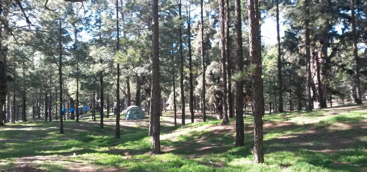 Camping Fur Warmduscher El Hierro Im April Roadtrips Mit Kids
